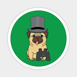 Pug dog ready for the races Magnet